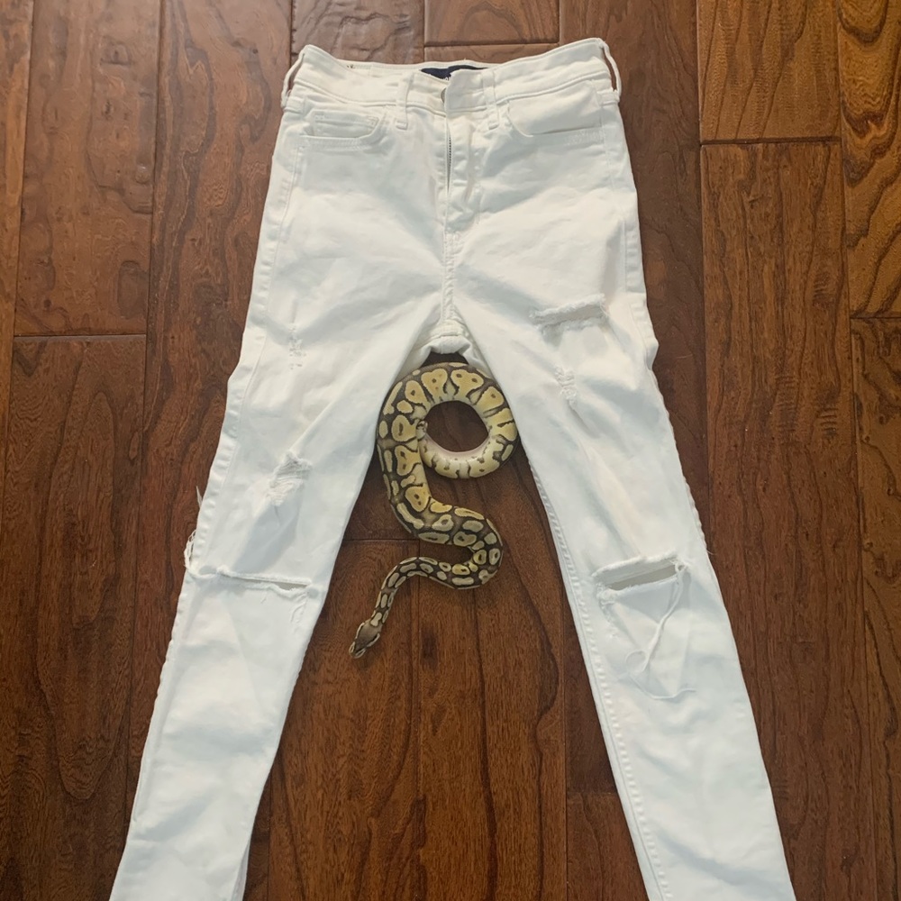 Hollister 23w x 28L high rise supper skinny